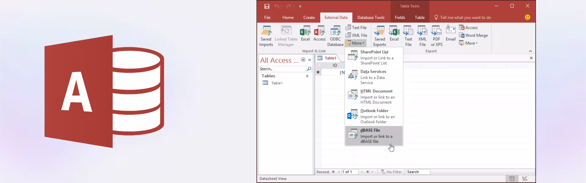 Microsoft Access 2019