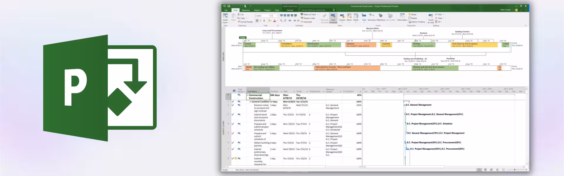 Microsoft Project 2016 Professional