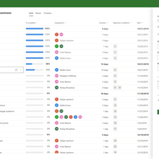 Microsoft Project 2021 Professional