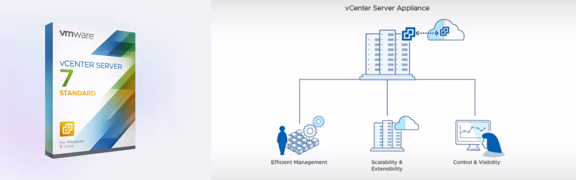 VMware vCenter Server 7 Standard (2)