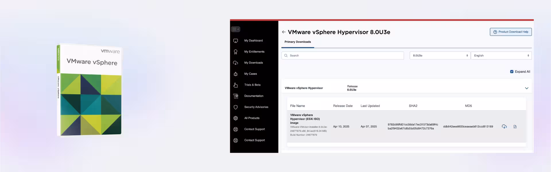 VMware vSphere Hypervisor (ESXi) 8