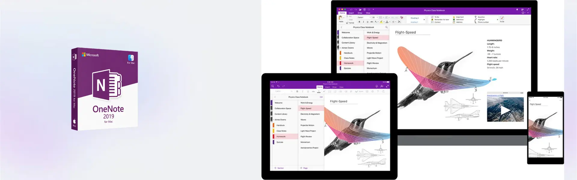 Microsoft OneNote 2019 Mac