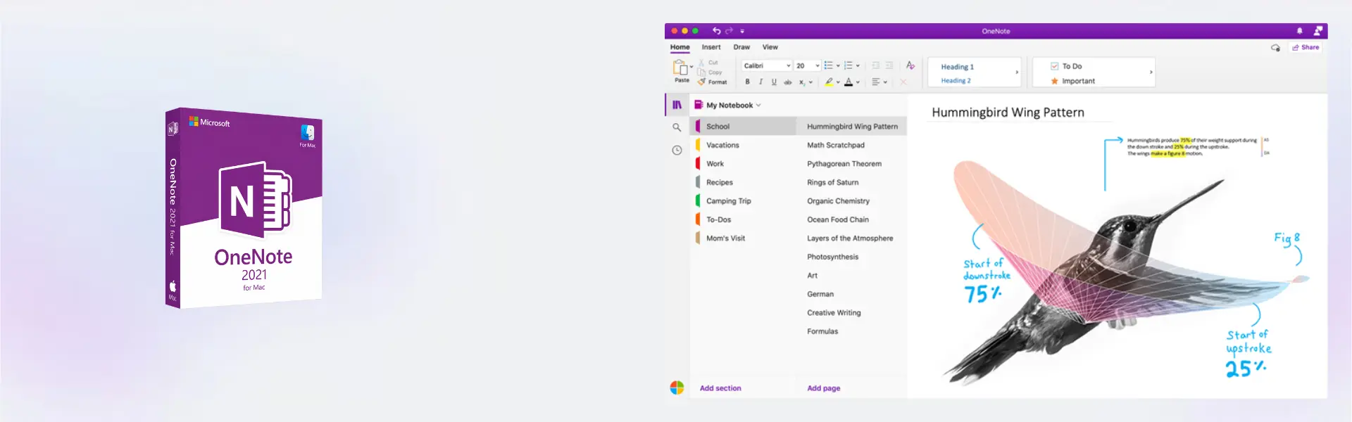 Microsoft OneNote 2021 Mac 