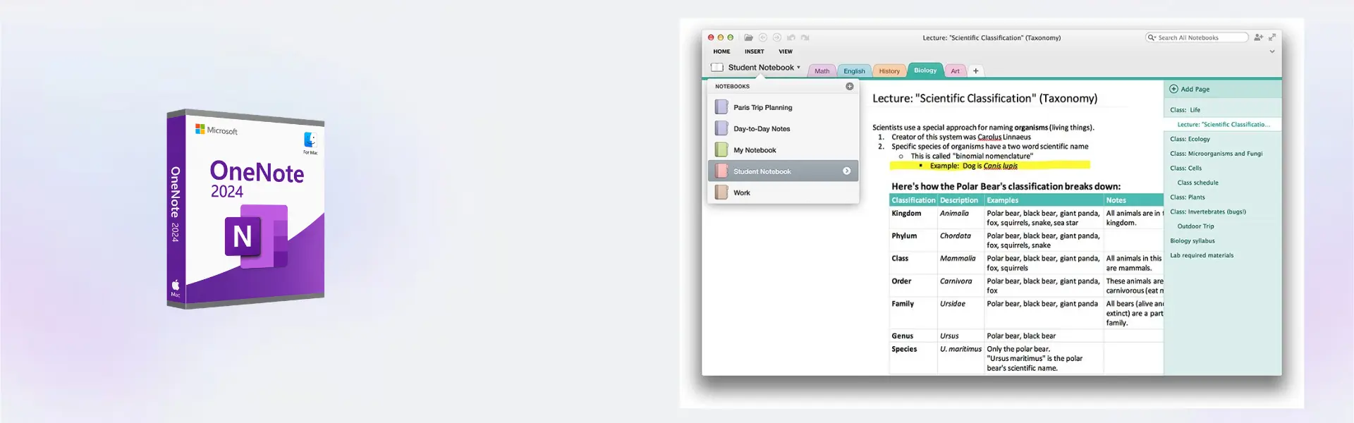 Microsoft OneNote 2024 Mac 