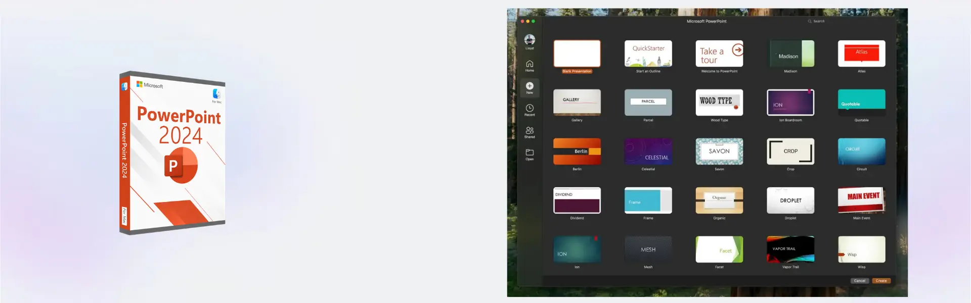 Microsoft Powerpoint 2024 Mac 