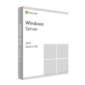 Microsoft Windows Server 2022 Device CAL
